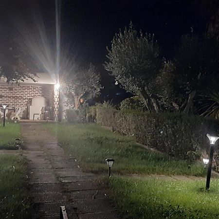 Casa Das 3 Palmeiras Arraiolos Exteriör bild