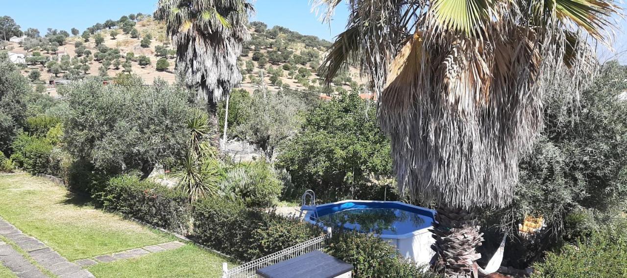 Casa Das 3 Palmeiras Arraiolos Exteriör bild