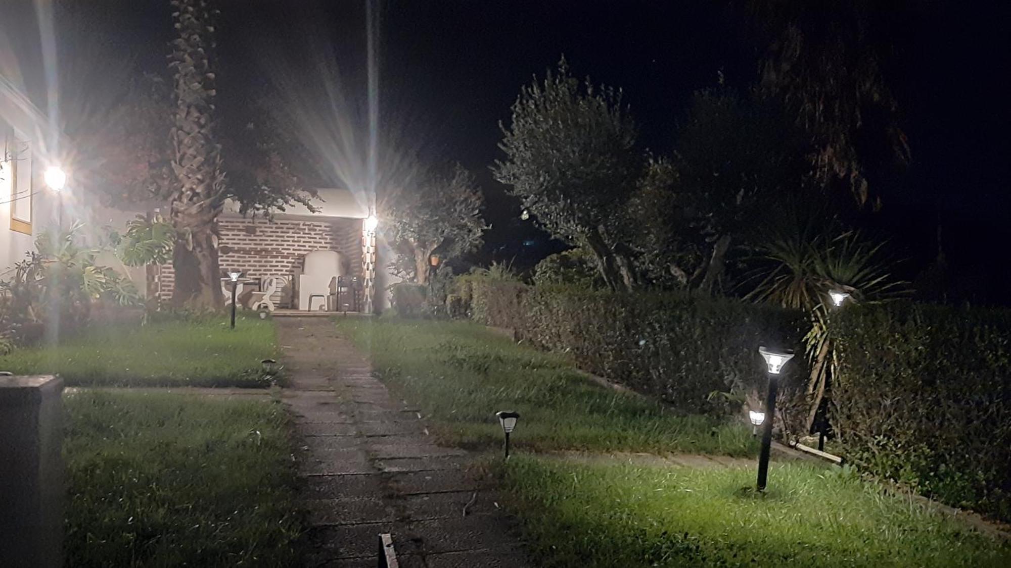 Casa Das 3 Palmeiras Arraiolos Exteriör bild