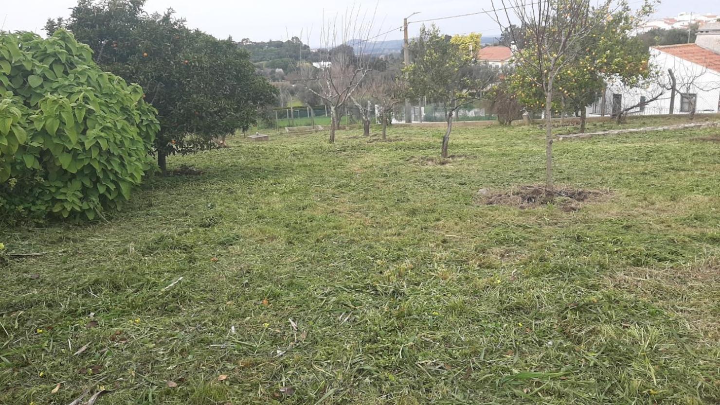 Casa Das 3 Palmeiras Arraiolos Exteriör bild